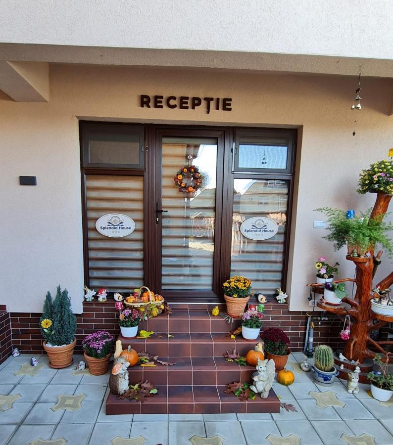 Hotel Splendid House Făgăraş Zewnętrze zdjęcie
