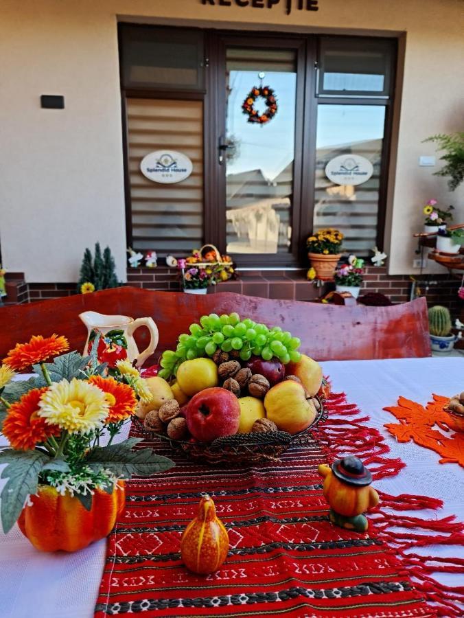 Hotel Splendid House Făgăraş Zewnętrze zdjęcie